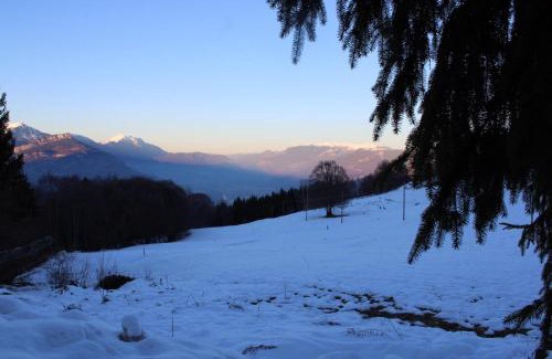 Polsa Apartment | Residenza il bosco