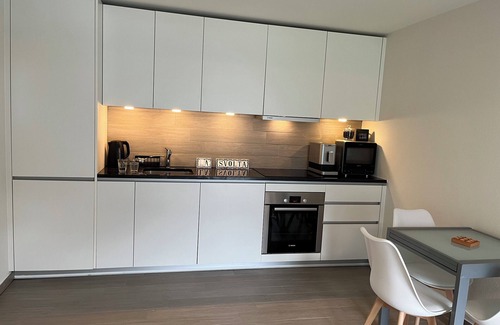 Riazzino Apartment | Residenza La Svolta - Salt Pool & Private Garden