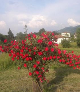 Feltre Apartment | Residenza Letizia