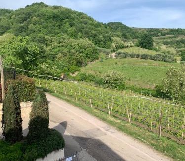 Ronca Apartment | Residenza Viti del Durello Locazione turistica