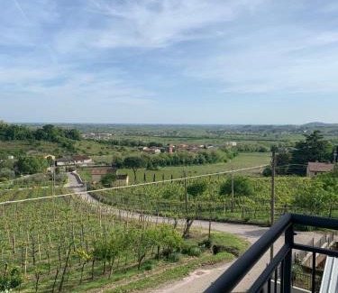 Ronca Apartment | Residenza Viti del Durello Locazione turistica