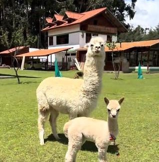 San Jeronimo de Tunan Hotel | RESORT ALAPA
