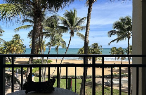 Mameyes II Condo | Resort Condo at Wyndham Grand Rio Mar