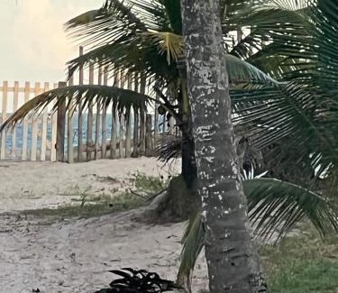 Aritagua House | RESORT DE MARIA MACHADÂO