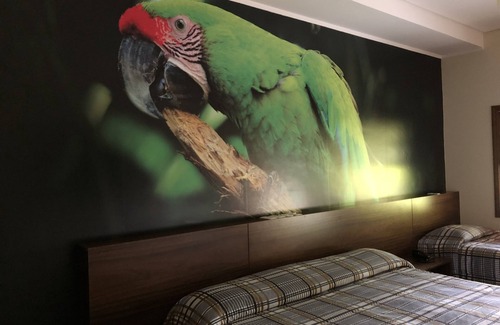 Sao Pedro Other | Resort Fazenda São João