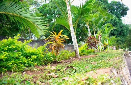 Tarapoto Resort | Resort Hotel Park Tarapoto