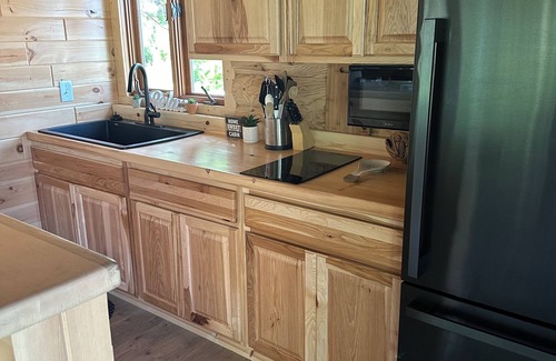 Central Lake Resort | Resort in the works with AC in East Jordan. Pet friendly on Scott’s lake.