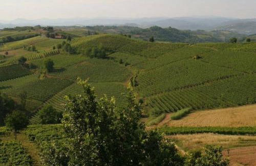 Cassine House | Resort la villa