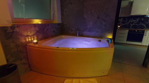 Trebnje Villa | Resort TimAJA - pool, massage pool, sauna