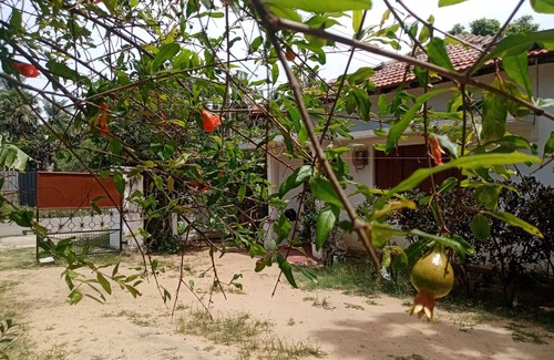 Nilaveli House | Rest house Nilaveli