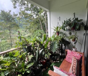 Bukit Tinggi Apartment | Rest House! Selesa Homestay Bukit Tinggi