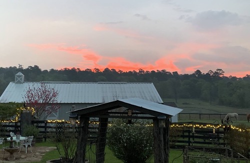 Montgomery County House | Rest + Restore. Family-friendly ranch getaway, including fur babies!nn