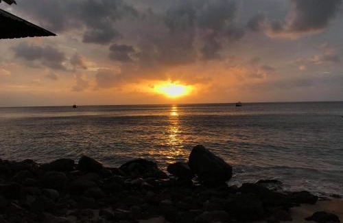 Tioman Island Ski Chalet | Restu Chalet Tioman