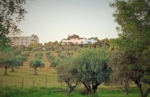 Crato House | Retiro da cegonha