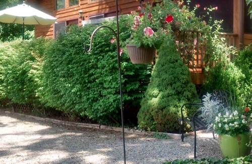 Bryson City Cabin | Retreat in the Sky.For All Those Special Occasions!.