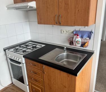Dolany Apartment | Retro domeček Dolany u kruháče