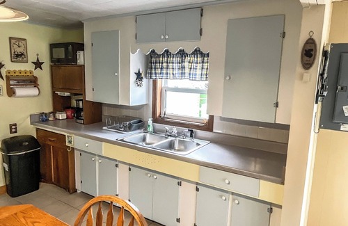Lake City House | Retro Moose Cottage - Home in Lake City