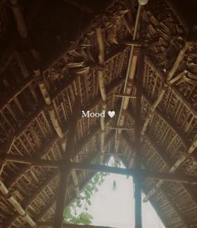 Auroville House | Reve living
