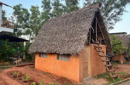 Auroville House | Reve living