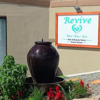 Darling House | Revive Guesthouse