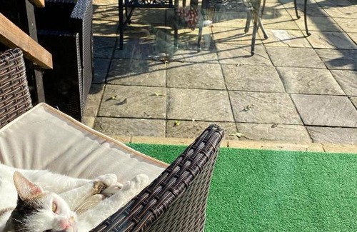 Seend House | Rew Farm Country & Equestrian Accommodation - Sunrise Lodge
