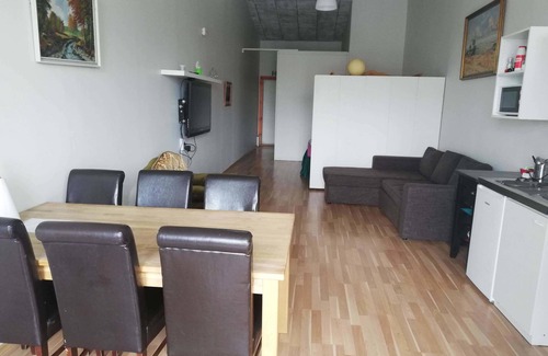 Grindavik Apartment | Reykjanes Guesthouse