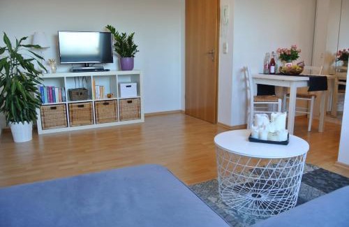 Memprechtshofen Apartment | Rheinau Apartment
