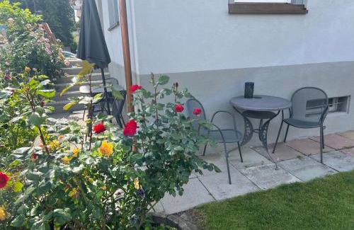 Hoechst Apartment | Rheinblick Ferienwohnung