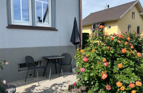 Hoechst Apartment | Rheinblick Ferienwohnung