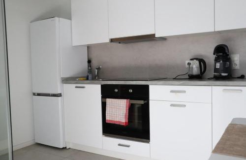 Lutzel Apartment | RheinMosel Wellness 12