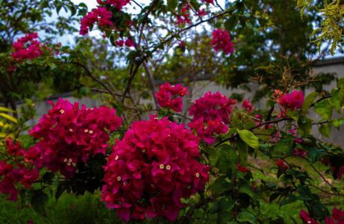 San Juan Bed & Breakfast | RhenMart-Inn