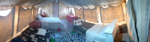 Maasai Mara Bed & Breakfast | Rhino hillside