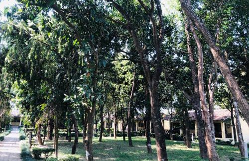 Bardia Bed & Breakfast | Rhino Lodge Bardia Pvt Ltd
