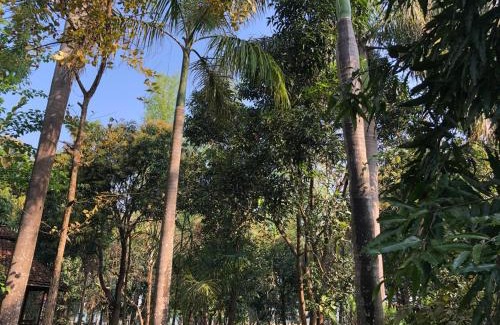 Bardia Bed & Breakfast | Rhino Lodge Bardia Pvt Ltd