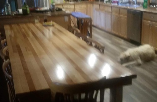 Annapolis Subdivision D House | "Rhodiesrest/BEST Lake in NS/7kayaks/2 paddleB/Sleep10/wifi/New Beds/Firewood
