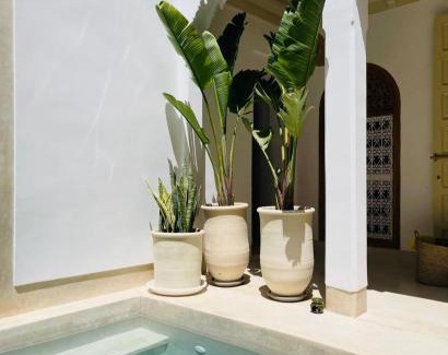 Riad Zitoun Jdid House | Riad lunja
