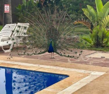 Oulad Salah Bed & Breakfast | Riad TANJIL