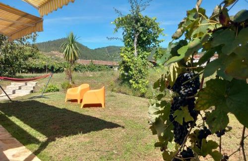 Oliveira de Frades House | Ribança Village