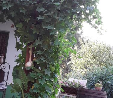 Ilok Apartment | Ribarska kuća - Ilok ,tradicijska kuća-sobe