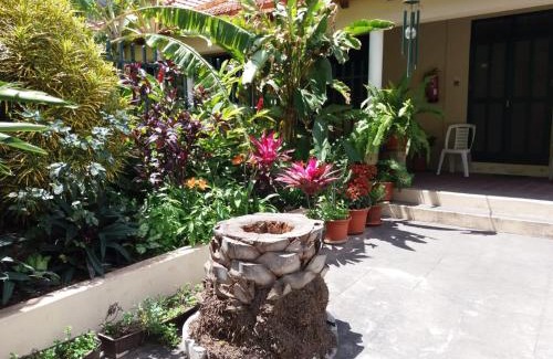 Ribeira Grande House | Ribeira Grande Country House