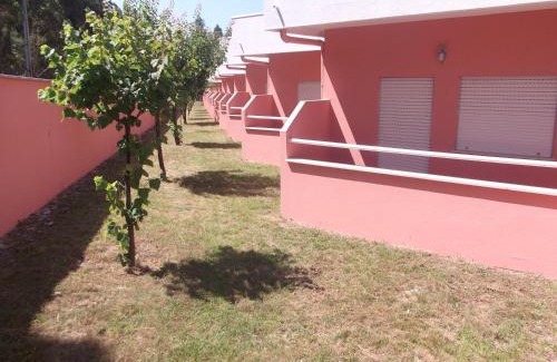 Albergaria-a-Velha House | Ribeirotel