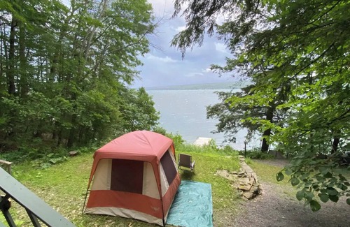 Trumansburg Cottage | Rice Cottage,Cayuga Lake,NY,rustic,historic,stone beach, fish, birds,sustainable
