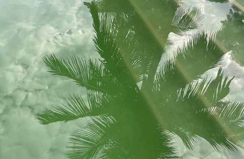 Retiro Apartment | RICE ISLAND | Private Island Resort