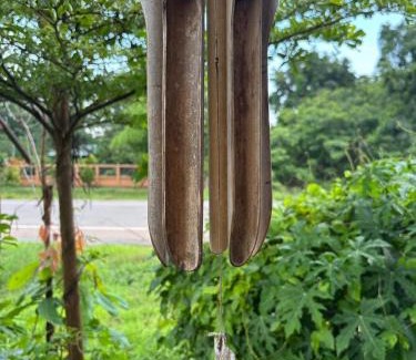 Nong Han House | Rice Terrace Homestay