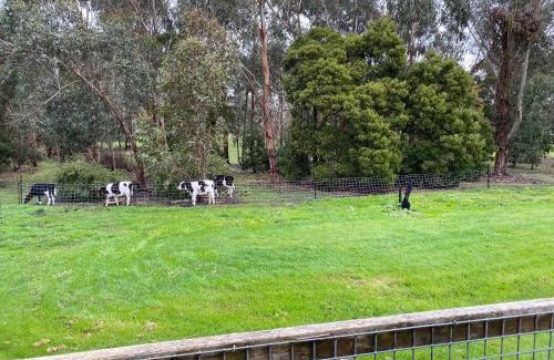 Cobden Apartment | Richo’s Retreat, 1 bed unit near Great Ocean Road