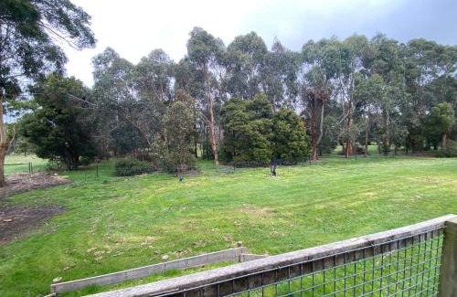 Cobden Apartment | Richo’s Retreat, 1 bed unit near Great Ocean Road