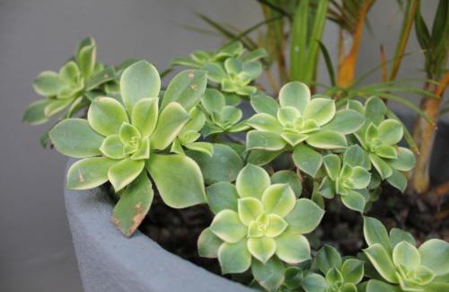 Brooklyn House | Richtershuyz Luxury Accommodation