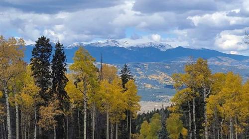 Angel Fire Bed & Breakfast | RidgeWalk Treehouse