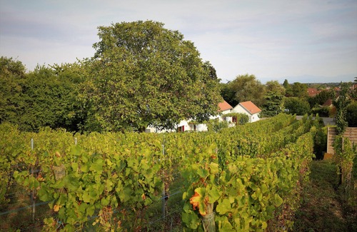 Rouffach House | Riesling cottage for 2 to 8 people, ideal for families,