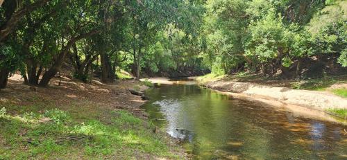 Mount Kilcoy Cabin | Rileysview